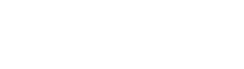 Localyser
